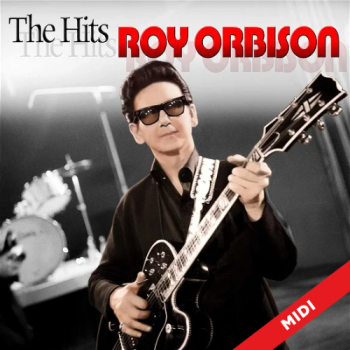 You Got It - Roy Orbison 